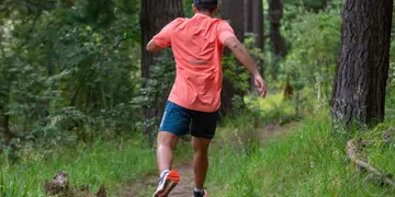 Best Joint Supplement for Runners: Top Picks Ranked