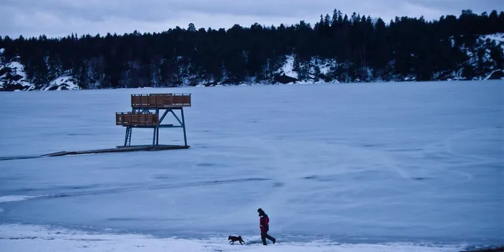 Best Cold Plunge Tub for Home 2026: Ice Barrel vs The Cold Plunge vs DIY