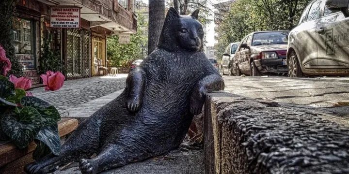 Best Creatine Supplement: Monohydrate vs HCL Compared