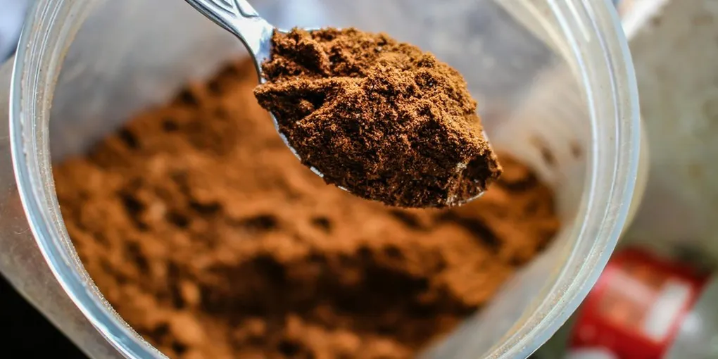 Best Fiber Supplement for Gut Health 2026