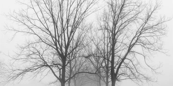 Best Meditation App Worth Paying For: Calm vs Headspace vs Waking Up (2026 Comparison)