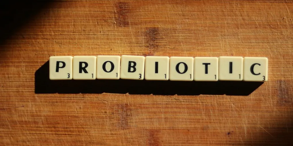 Best Probiotic for Gut Health and Bloating 2026: Top Picks