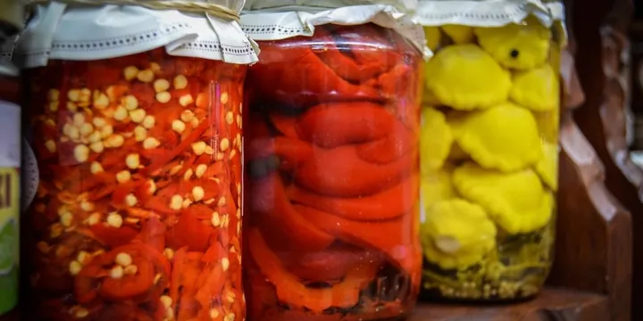 Best Probiotic for Gut Health and Bloating 2026: Top Picks