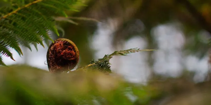 Best Red Light Therapy Device for Home Use (2026): Panel vs Handheld Buying Guide