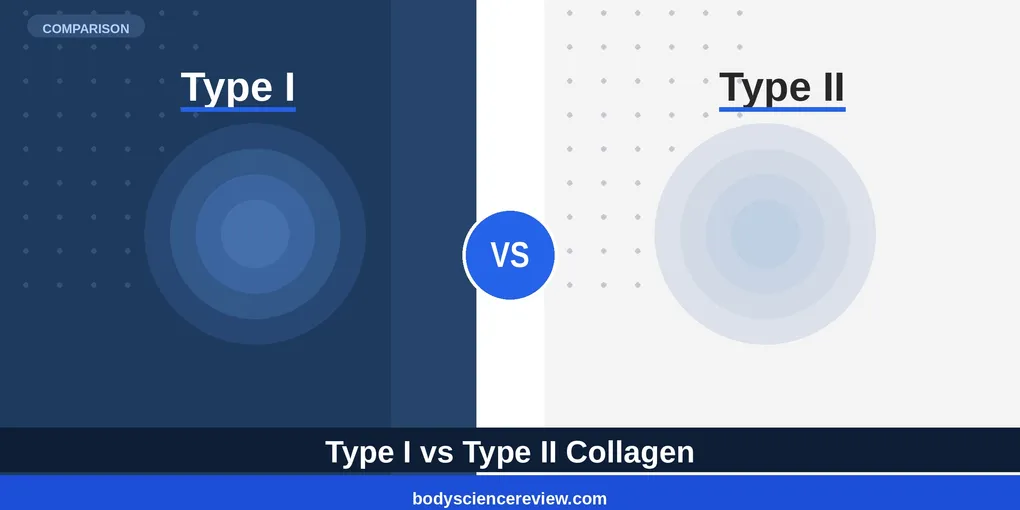 Type I vs Type II Collagen: Top Picks Ranked